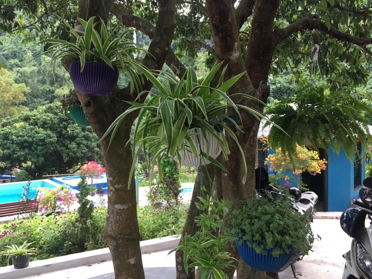 Catba Papillon Garden Bungalows & Resort Hien Hao 外观 照片